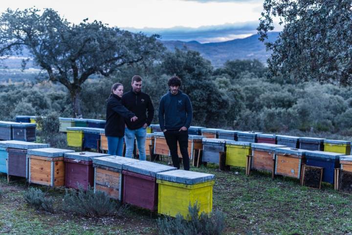 Sorillo tiene más de 140 colmenas entre la Sierra de Béjar y la de Francia.