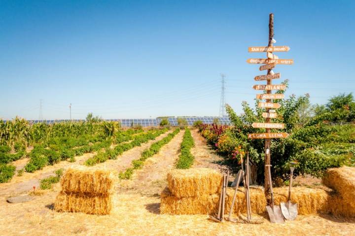 La Huerta de la Retamilla es autosostenible. Foto: Beto Troconis.