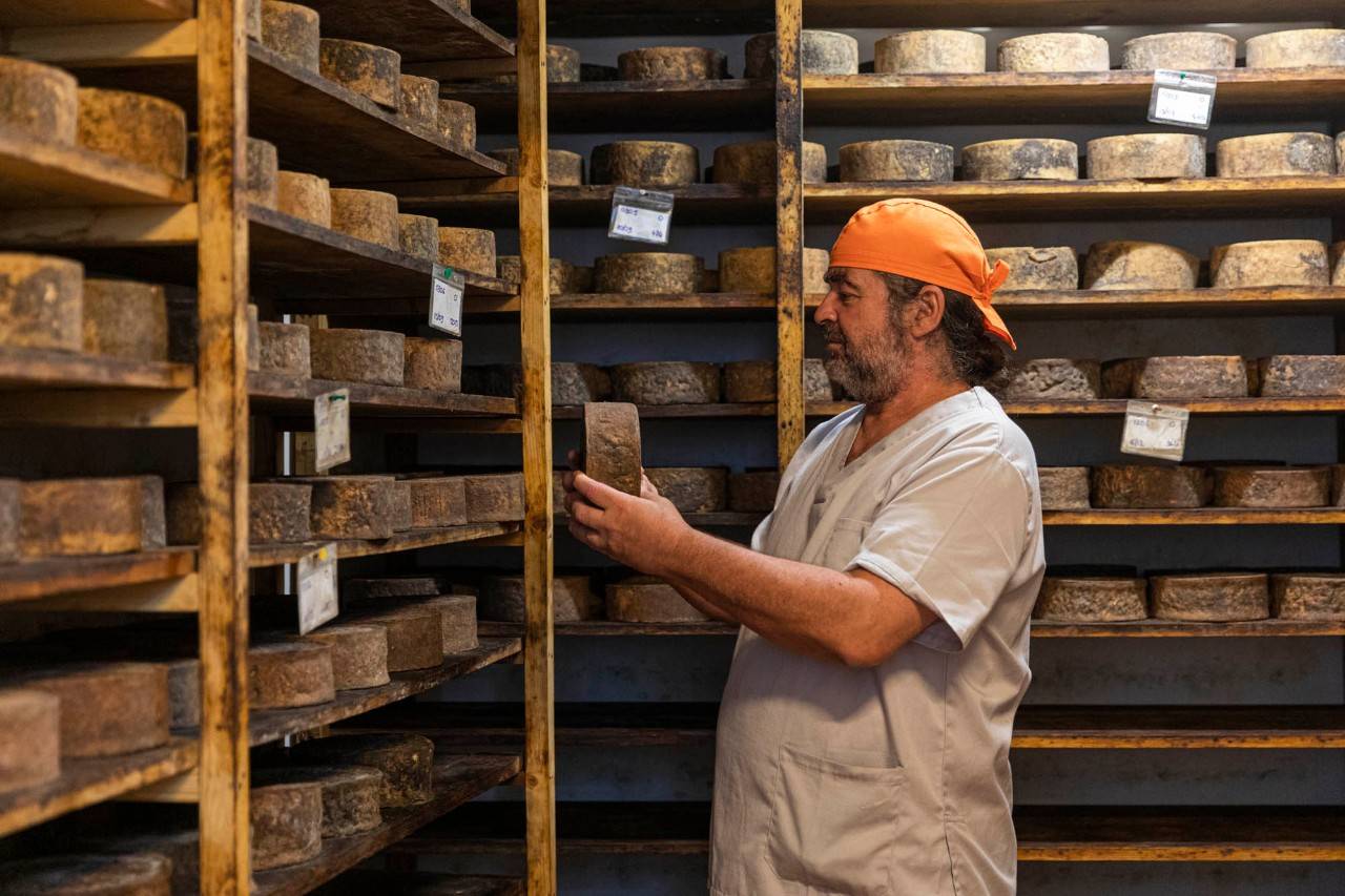 Cuando la Sierra de Espadán sabe a queso de oveja y cabra