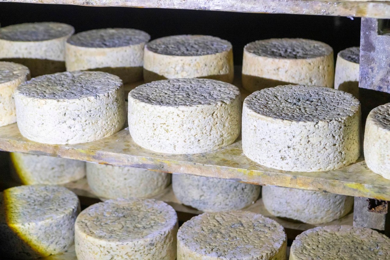 Historia de la quesera que creó el queso más caro del mundo