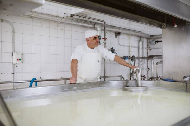 Cada día llegan 10.000 litros de leche fresca de pastoreo al pazo.