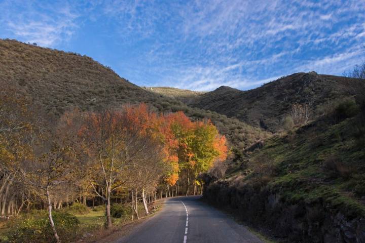 Prado La Rioja