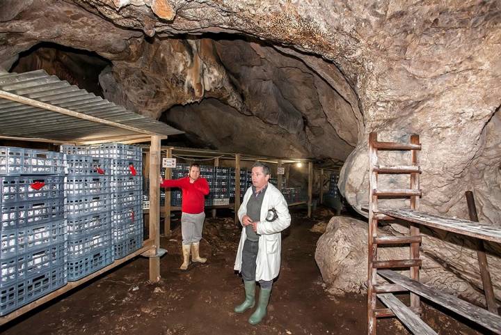 Luis Alberto Alles y Tomás Cabeza (hijo), en el interior de La Sotorraña, cueva que comparten ambas queserías.