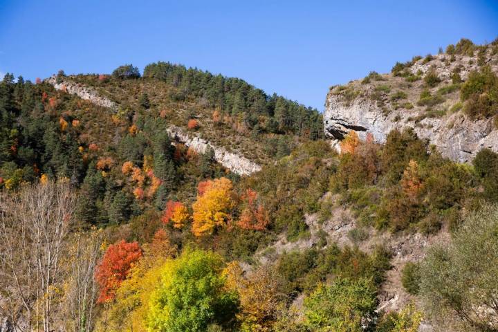 Valle del Roncal