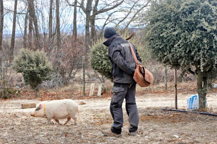 Javier López era jardinero y en 1992 viajó a Francia a conocer el negocio de las trufas.