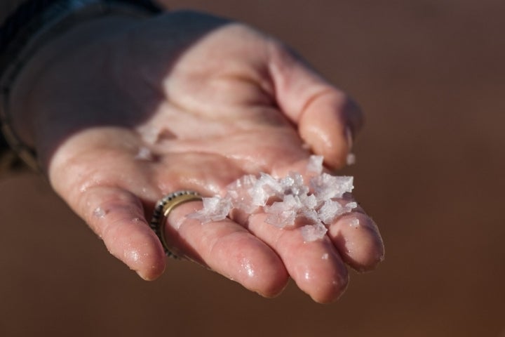 Detalle de flor de sal.