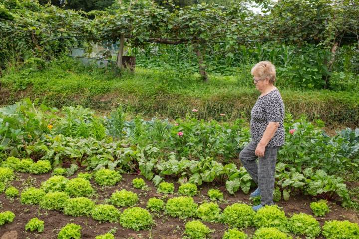  Ya no hay relevo para la generación de Mª Teresa, que cuida con esfuerzo y esmero su fértil terreno.