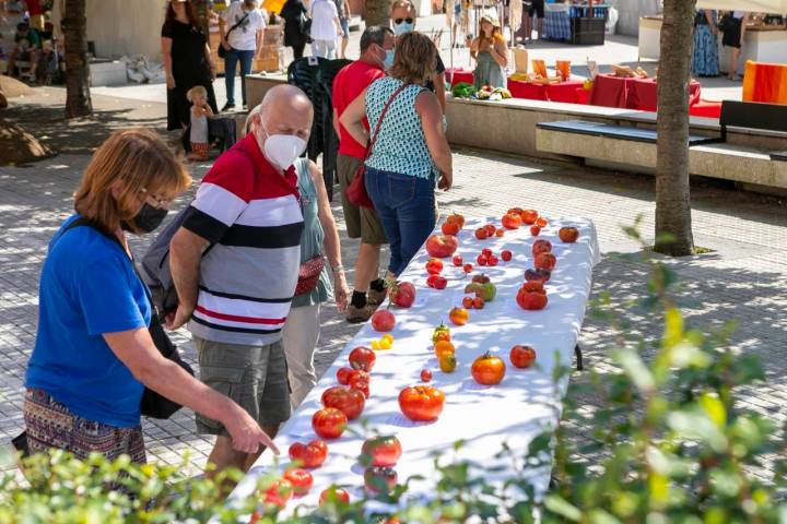 Los tomates de Diego son de los primeros en acabarse.