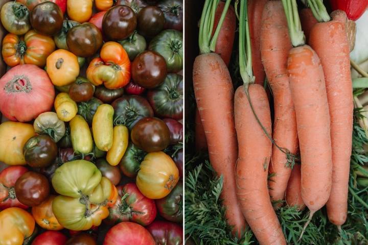 Alberto cultiva hasta 15 variedades diferentes de tomates.