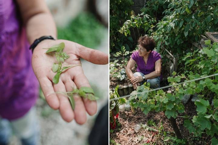 Adelina sabe combinar los sabores de cada hoja y cada brote.