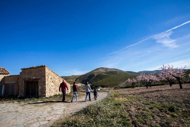 Almendros