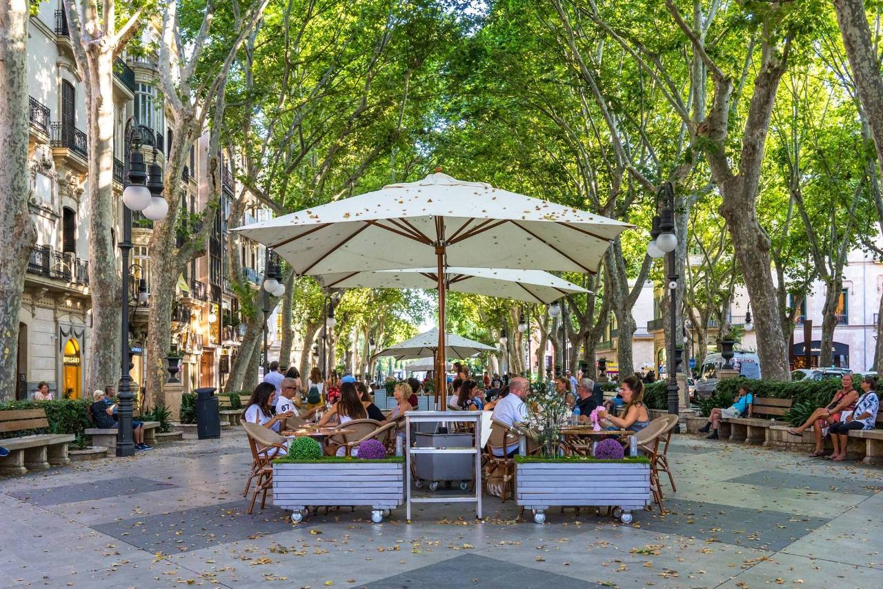 Cuatro esfinges, tortugas y lugares donde comer en el Paseo del Borne