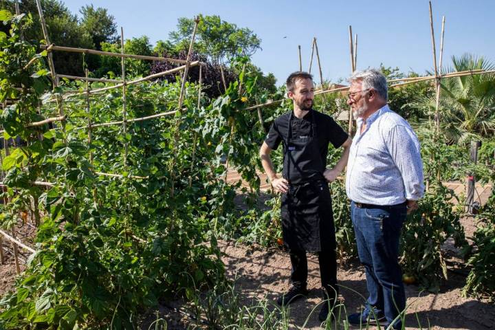 huerta de napicol