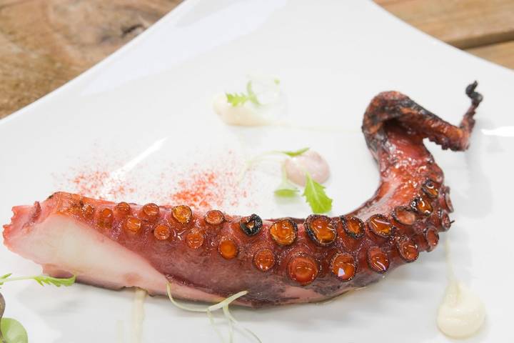 Probar el pulpo a la brasa en casi una obligación. Foto: Juanjo Pascual