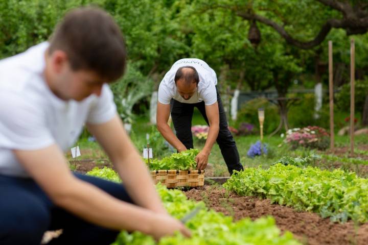 Cocinas de pueblo: la huerta de 'Venta Moncalvillo'