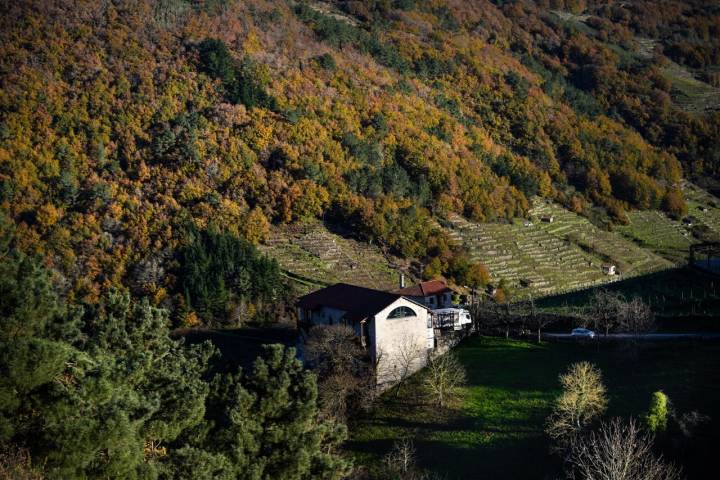 Bodega Via Romana