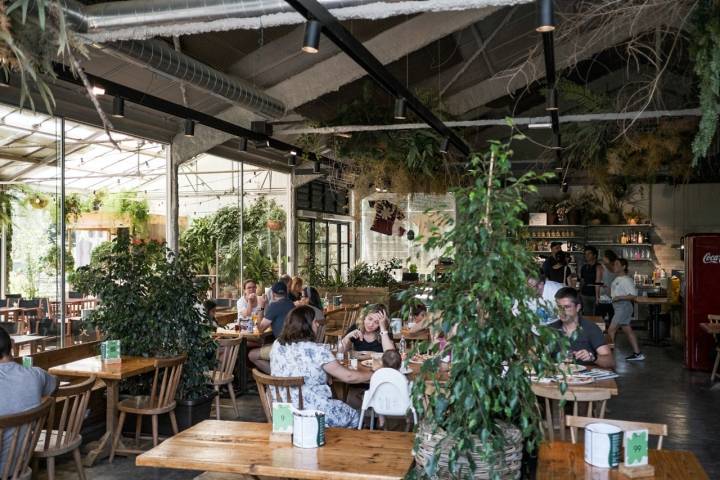 Las plantas naturales dan vida a todo el espacio de Garden.