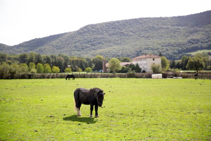 Granja escuela valle Ultzama