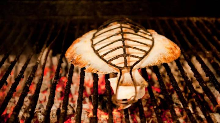 Los mejores pescados de la cornisa Cantábrica a la parrilla. Foto: Elkano.