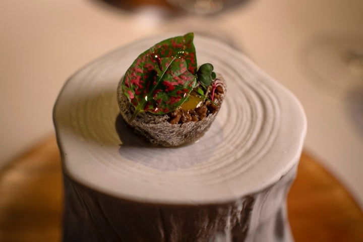 Crujiente de setas con yema de huevo curado. 