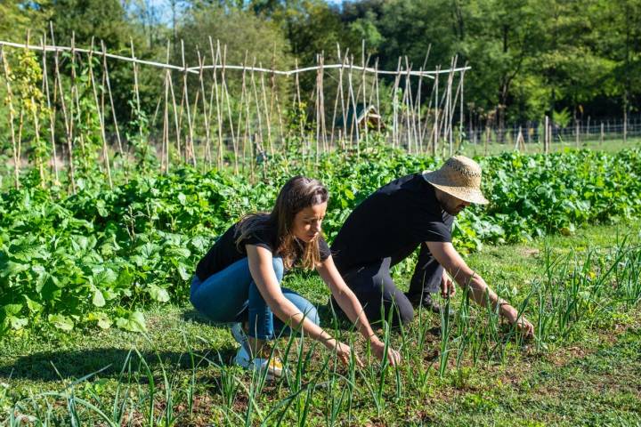 Menú otoño Les Cols: huerto ecológico