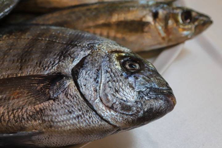 Pescado muy fresco, no hace falta nada más.