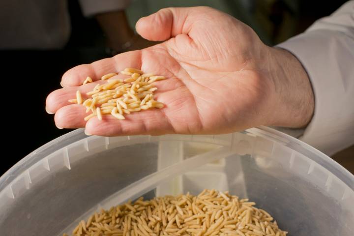 Los gurullos, pasta tradicional de Almería que se moldea a mano.