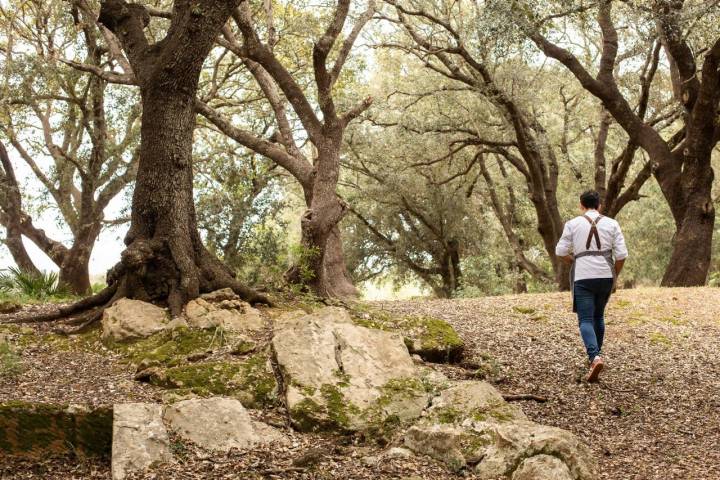 La finca ocupa 40 kilómetros cuadrados al noroeste de Mallorca.