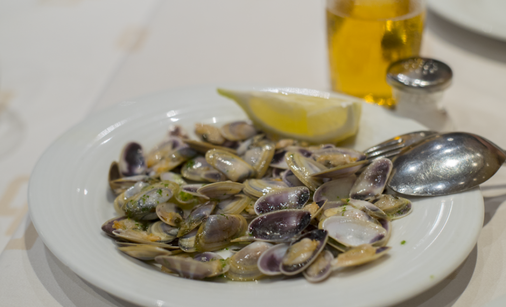 Conchas del agua al plato