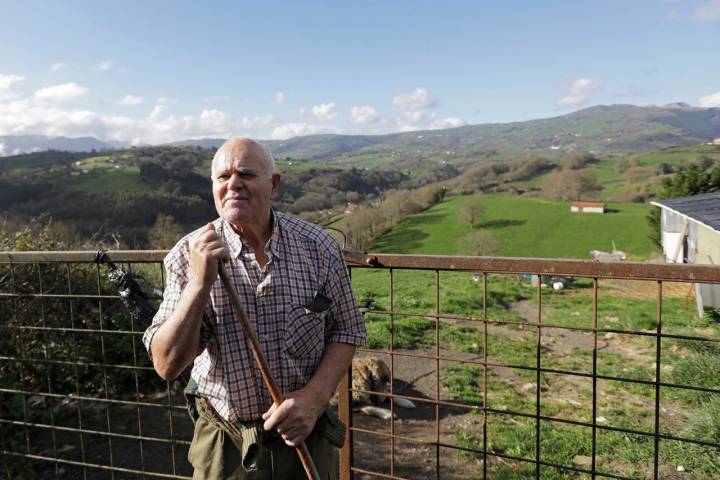 Palenque, el pastor vecino.