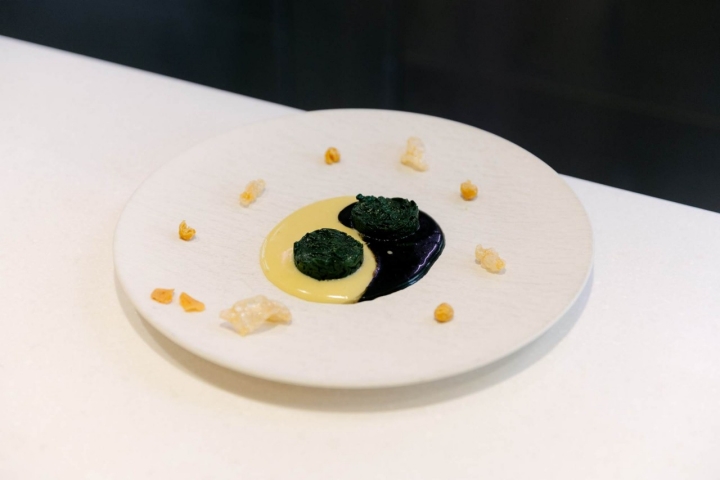 PLATO EXTRA