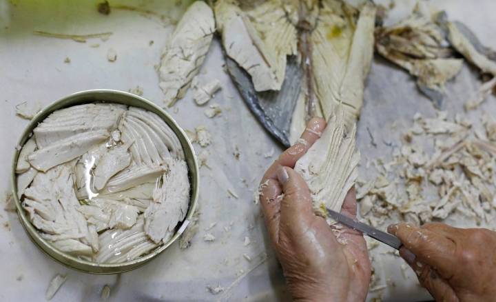 El aperitivo de la casa: lomos de ventresca.