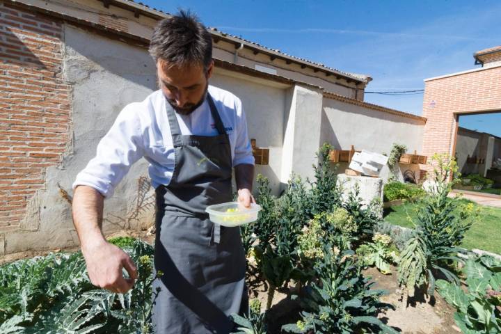 La Botica de Matapozuelos: el jardín trasero del restaurante