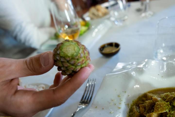 La Botica de Matapozuelos: rallando una piña verde de pino piñonero sobre uno de los platos