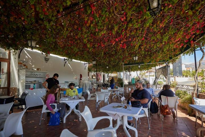 Terraza Los Naranjos Melegín