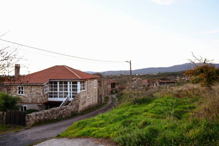 finca miguel gonzalez