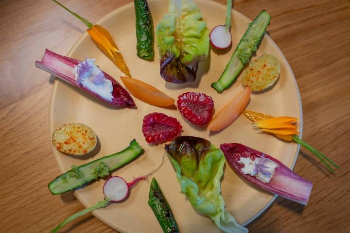 Ensalada de jóvenes hongos de pino, crudos y laminados.