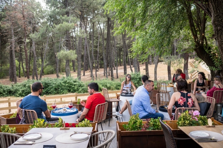 El pinar de la Sierra de Guadarrama abraza al comensal