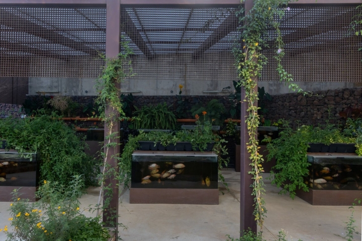 Zona de acuaponía del restaurante Sollo (Fuengirola, Málaga).