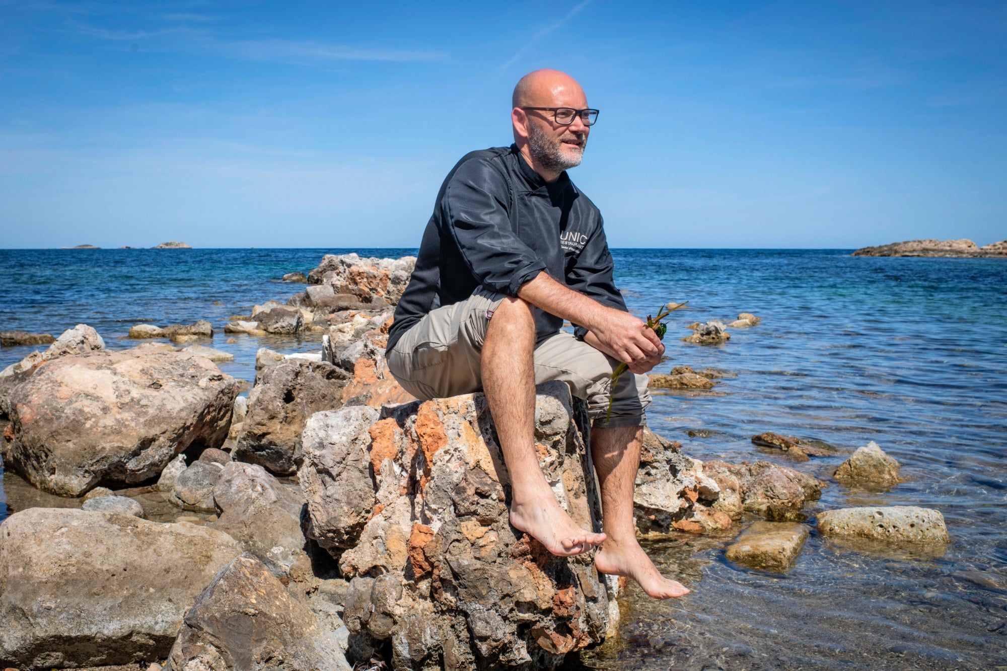 Y la posidonia llegó al plato