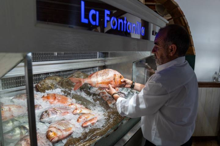 Pescado La Fontanilla Conil