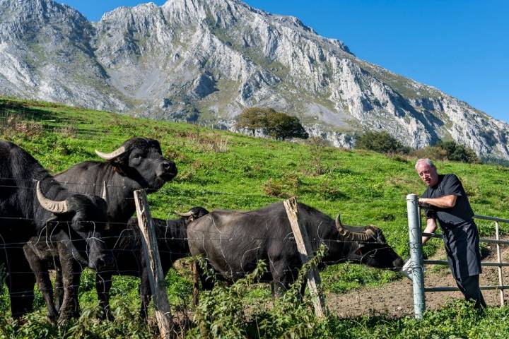 Arginzoniz enfrente de su caserío, con sus búfalas. Foto: Alfredo Cáliz