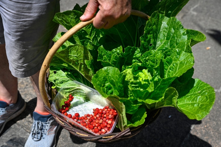 El producto de la huerta es un básico.