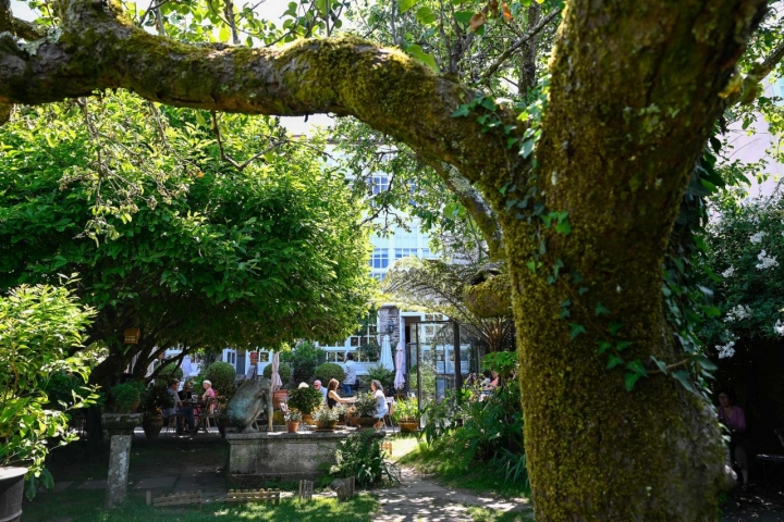 El jardín es un oasis de paz en medio de la ciudad.