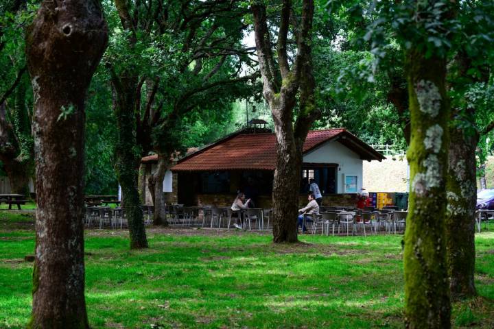 La cafetería sólo abre en verano.