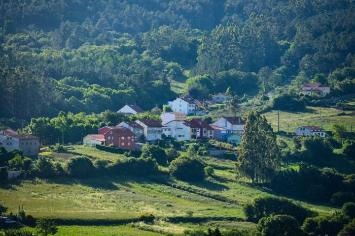 Vista de la ladera del Pedroso. 