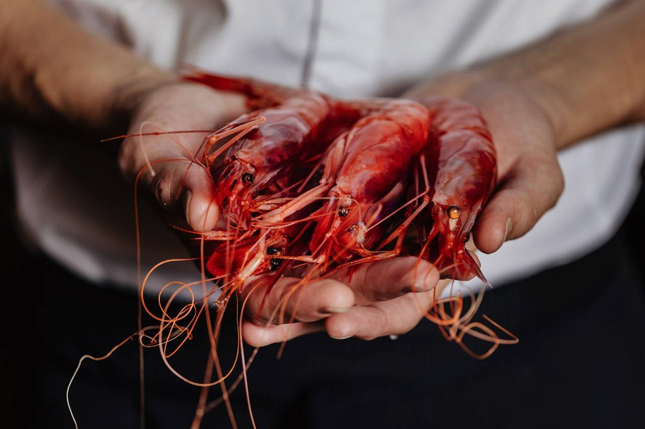 En 'Estimar' los pescados se exponen cada día en el mostrador de la cocina para que el cliente elija el que más le apetezca. Foto: Estimar / Óscar Romero.