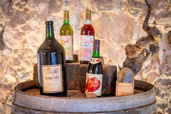 Cellers de Scala Dei vinos