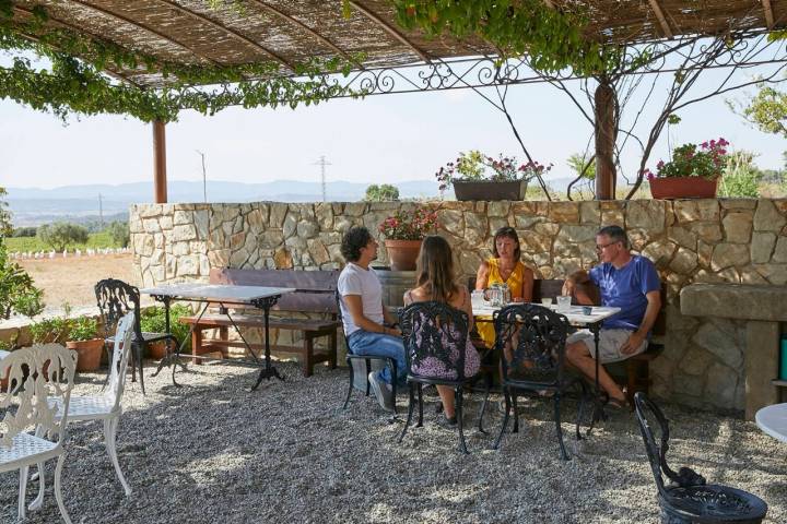 Comer a la sombra y con vistas a los viñedos.