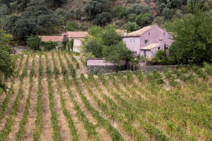 Bodega Fabrica Hojalata Juzcar